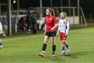 Bild 145 - wBJ Hamburger SV - Eimsbuettler TV 2 : Ergebnis: 16:0